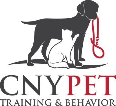 CNY Pet Training & Behavior