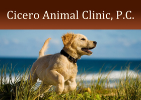 Cicero Animal Clinic